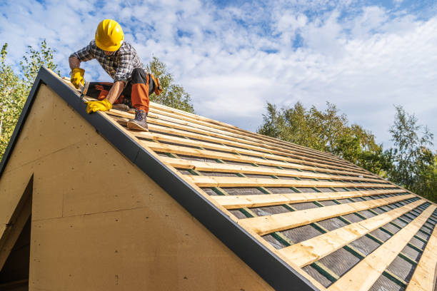 Best Local Roofing Companies  in Oconto, WI