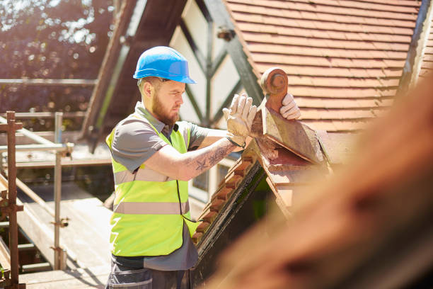 Best Roof Gutter Cleaning  in Oconto, WI